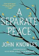A Separate Peace image