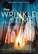 A Wrinkle in Time image
