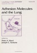Adhesion Molecules And The Lung image