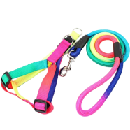 Adjustable Nylon Pet Dog Puppy Cat Harness With Leash Colorful Walking Leash image
