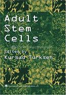 Adult Stem Cells image
