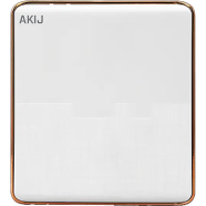 Akij Delight Balank Plate image