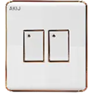 Akij Elegant 2 Gang 2 Way Switch image