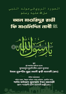 Al Maoridur Ravi image