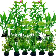 All Season Aquarium Green Grass Plants Seeds - 20 Pcs image