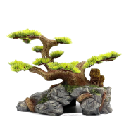 All Season Aquarium Plant Pine Tree Bonsai Seeds - 5 Pcs image