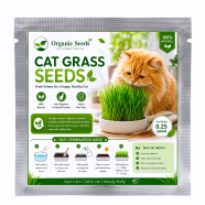 All Season Cat Grass Foliage Plant Bonsai Seeds - 1000 Pcs image