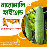 All Season Dhundol Seed Intact Pack