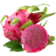 All Season Dragon Pitaya Fruit image