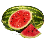 All Season Giant Watermelon Seeds image