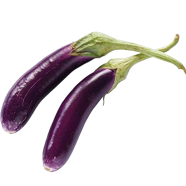 All Season Global Early Long Purple Brinjal 20 Pcs Seeds image