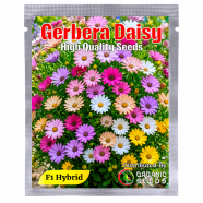 All Season Global Gerbera Daisy Flower Seeds 0.1gm image