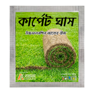 All Season Green Lawn Grass Seeds - 200 Plus Pcs image