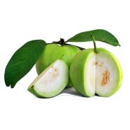 All Season Guava Fruit Seeds image