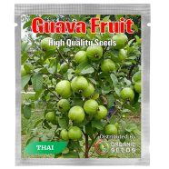 All Season Guava Fruit Seeds 0.25 gm image