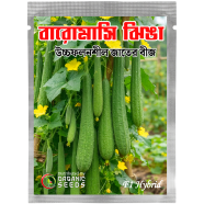 All Season Jhinga Seeds image