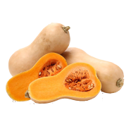 All Season Jupanese Yellow Pumkin 10 Plus Seeds image