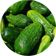 All Season Khirai Seeds image