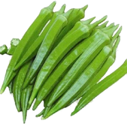 All Season Ladies Finger/Orka image