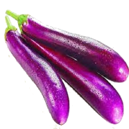 All Season Long Brinjal - 20 Pcs Seeds image