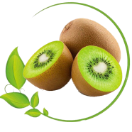 All Season Mini Kiwi Fruit Bonsai Seeds - 30 Pcs image