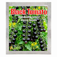 All Season Organic Black Cherry Tomato Seeds - 20 Pcs image