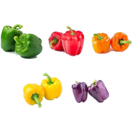 All Season Organic Multi Colour Capsicum - 10 Pcs Seeds image