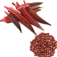 All Season Organic Red Ladies Finger/Orka Seeds -15 Pcs image