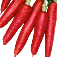 All Season Red Carrot Seeds - 50 Pcs image
