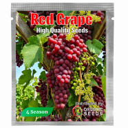 All Season Red Grape Seeds-20Pcs image