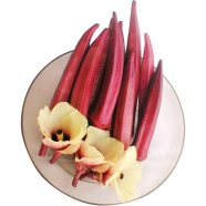 All Season Red Ladies Finger/Okra - 10 Pcs Seeds image