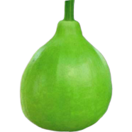 All Season Round Gourd/Lau Seeds - 10 Pcs image