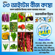 All Season Seeds Combo image