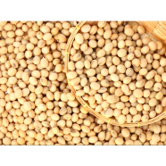 All Season Soybean Tree Seeds - 30 Pcs image