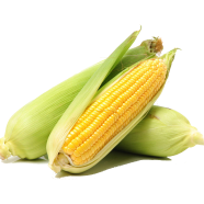 All Season Sweet Corn Seeds - 30 Pcs image