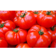 All Season Tomato Seeds image