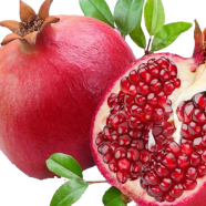 All Season Vedana Fruit Bonsai - 10 Pcs Seeds image