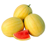All Season Yellow Watermelon Bonsai Seeds image