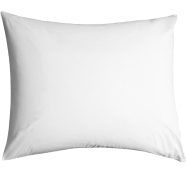 Allora Small Size Cushion Filler 14x14 Inch image