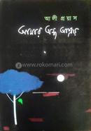 Amar Ondho Ashroy image