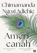 Americanah image