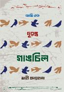 আমি এক দুরন্ত গাঙচিল