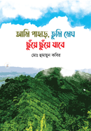 Ami Pahar, Tumi Megh Chuye Chuye Jabe image