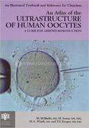 An Atlas of the Ultrastructure of Human Oocytes image
