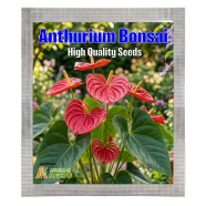 Anthurium Bonsai Seeds (Intack Pack) 0.25 gm image