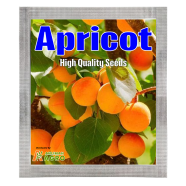 Apricot Tree Seeds (Intack Pack) 0.25 gm image