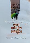 Ar Rahikul Makhtum image