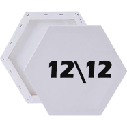 Artist Painting Canvas Hexagon Shape 12/12