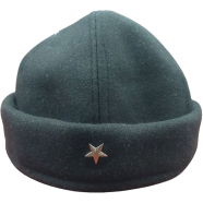 Artugul Cap image