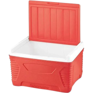 Asian Ice Cooler 32.0 Ltr image